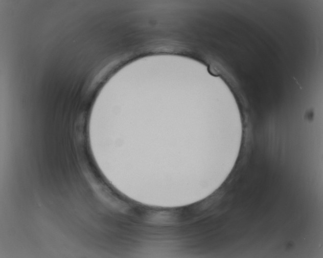 X0000115840058200912242025