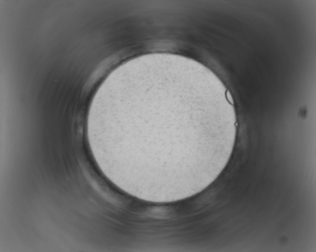 X0000115840059200912242025