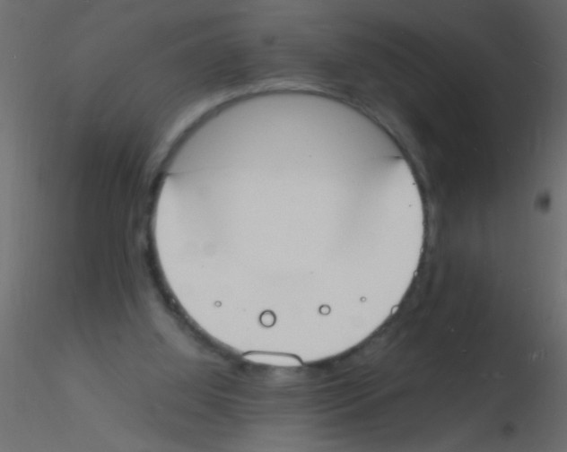 X0000115840060200912242025