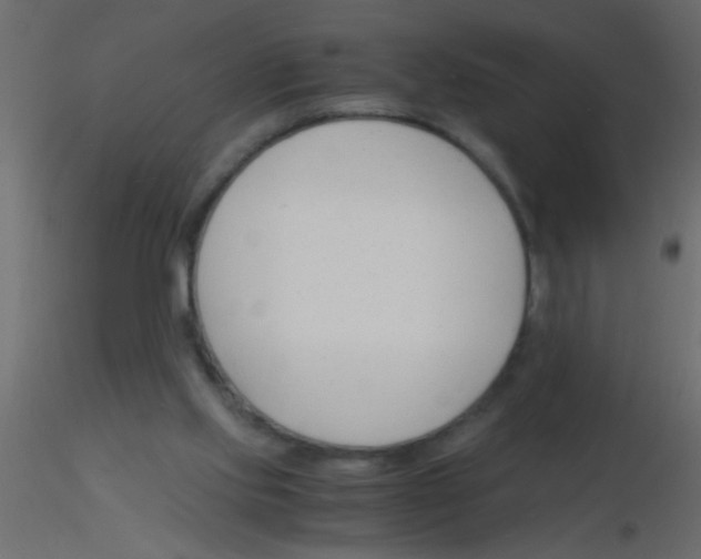 X0000115840061200912242025