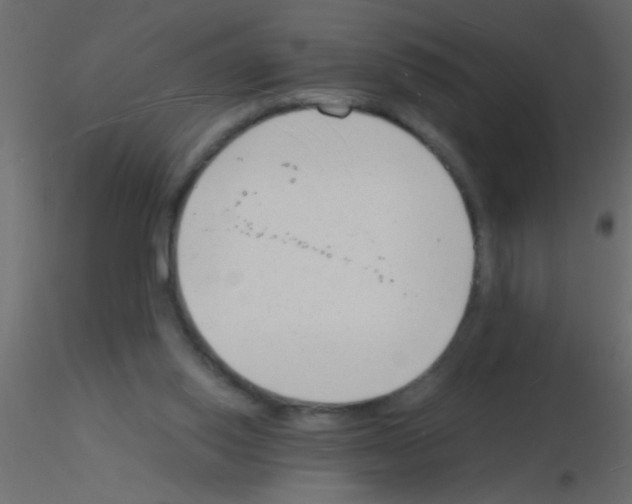 X0000115840062200912242025