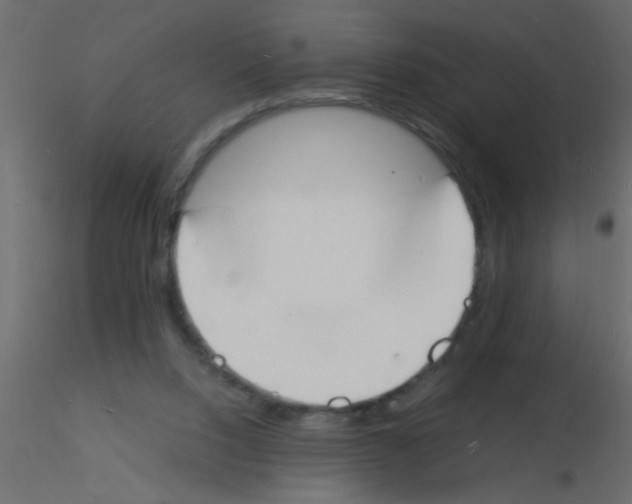 X0000115840064200912242025