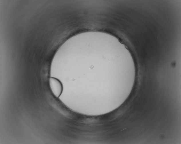 X0000115840065200912242025