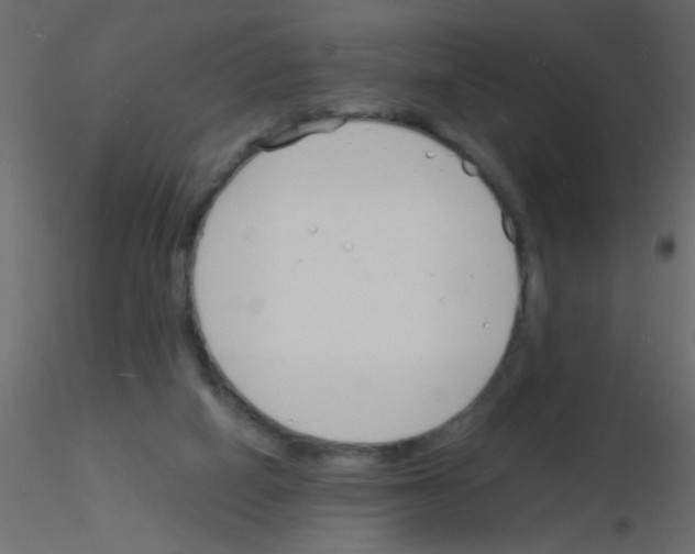 X0000115840066200912242025