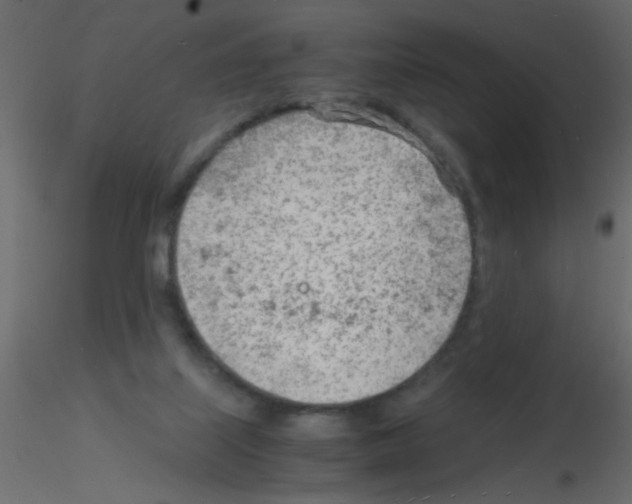 X0000115840067200912242025