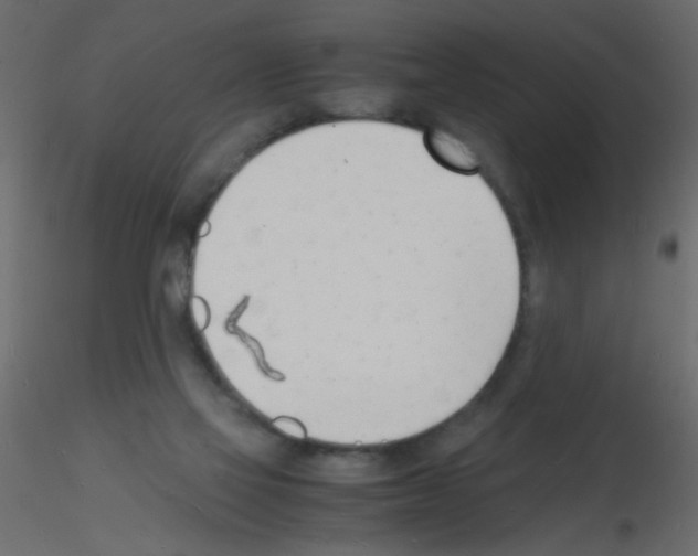 X0000115840069200912242025