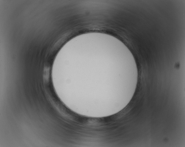 X0000115840070200912242025