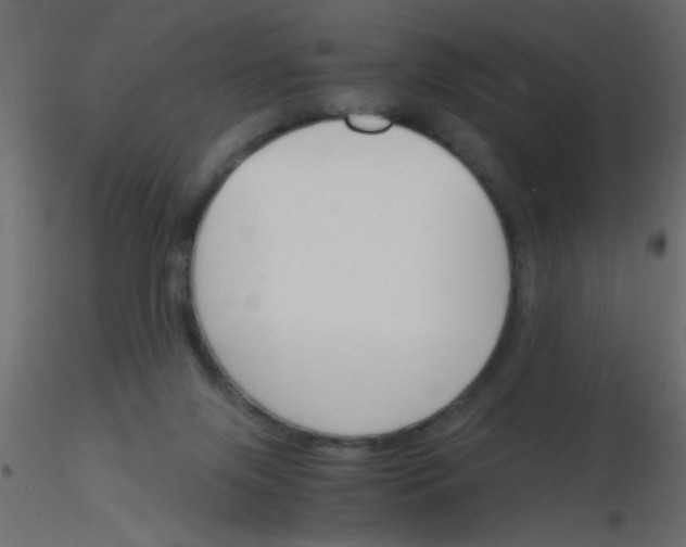 X0000115840071200912242025