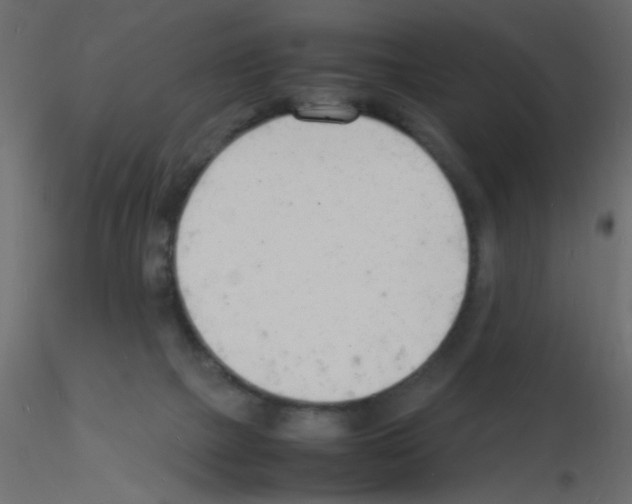 X0000115840073200912242025