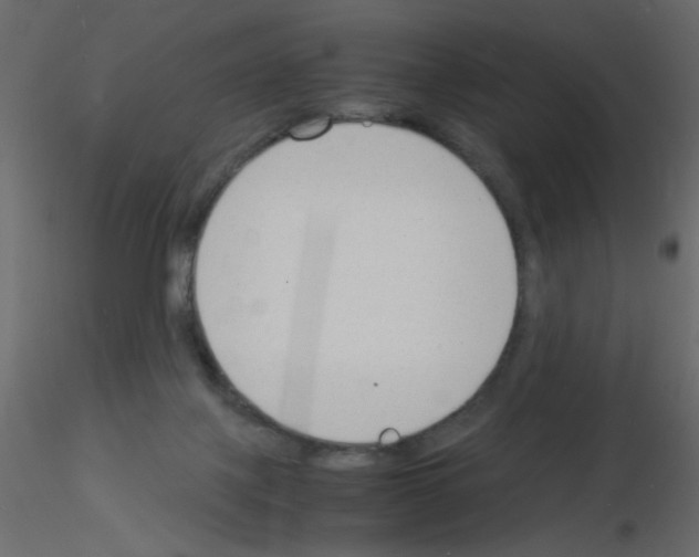 X0000115840075200912242025