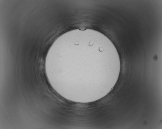 X0000115840077200912242025