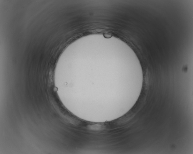 X0000115840079200912242025