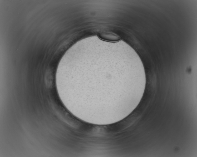 X0000115840080200912242025