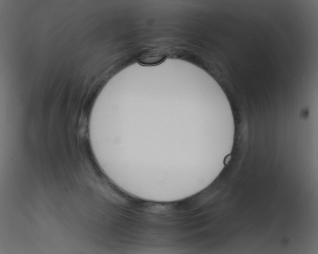 X0000115840081200912242025