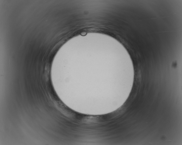 X0000115840082200912242026