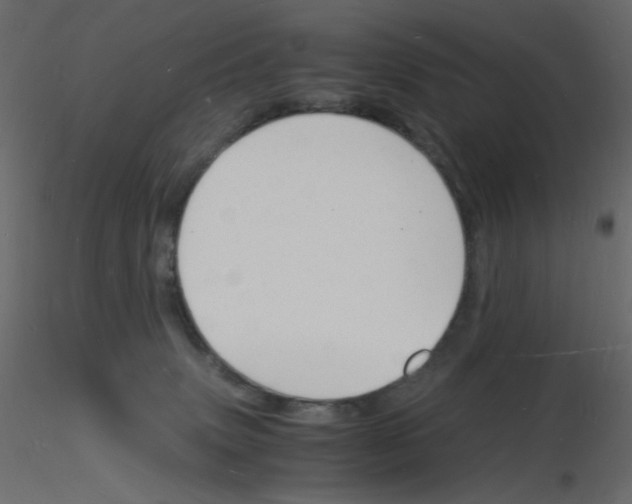 X0000115840083200912242026