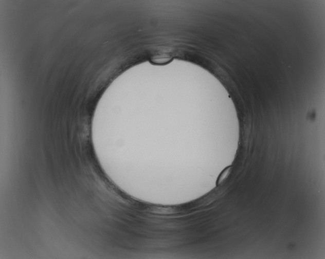 X0000115840085200912242026