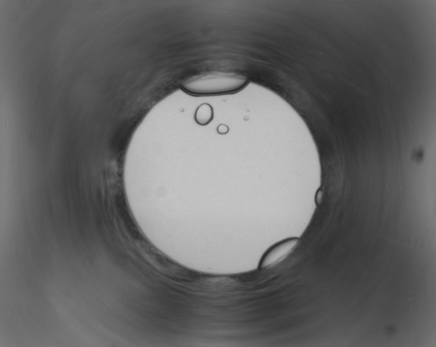 X0000115840087200912242026