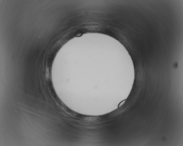 X0000115840089200912242026