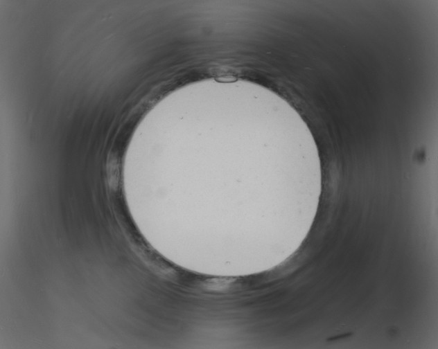 X0000115840090200912242026