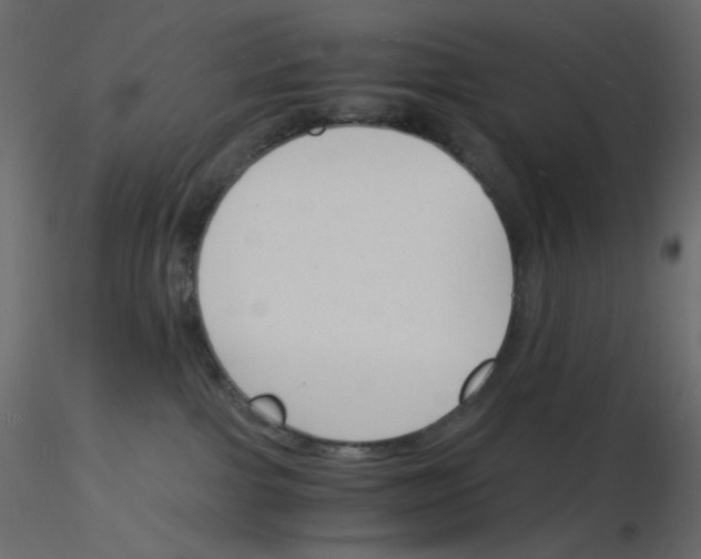 X0000115840091200912242026