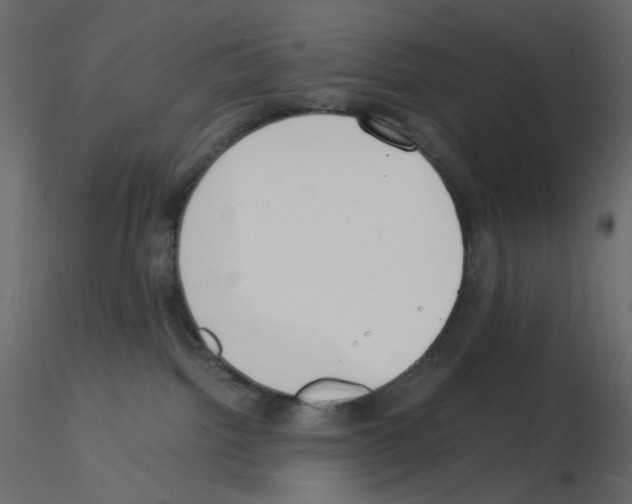 X0000115840092200912242026