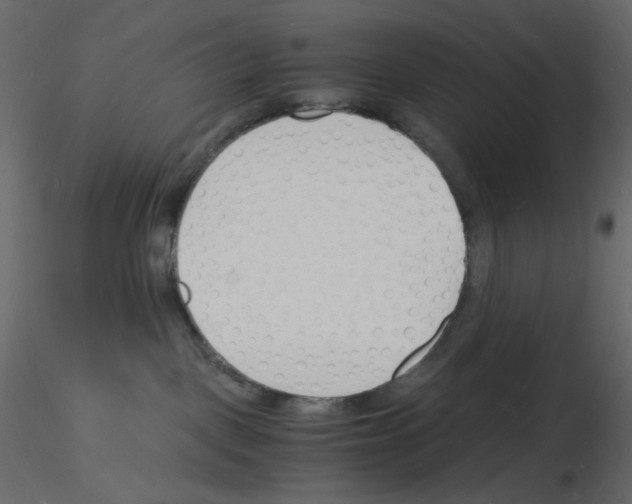 X0000115840093200912242026