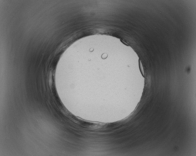 X0000115840094200912242026