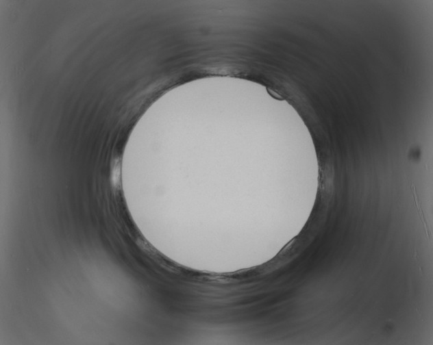 X0000115840095200912242026