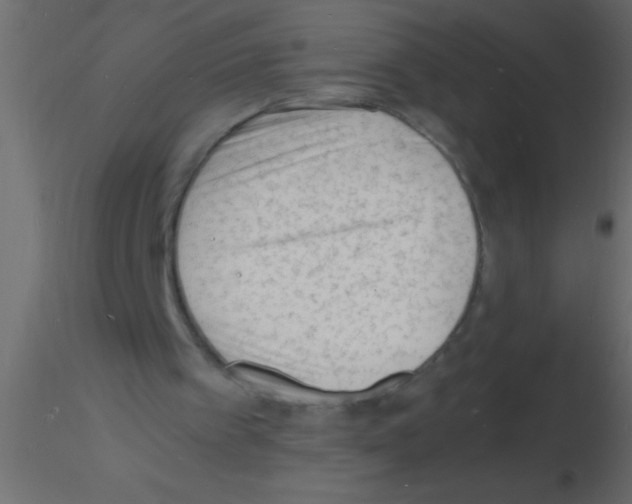 X0000115840097200912242025