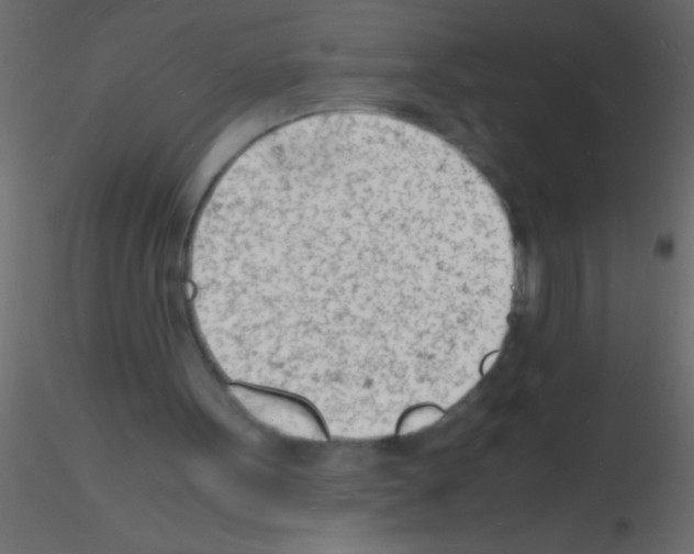 X0000115840099200912242025