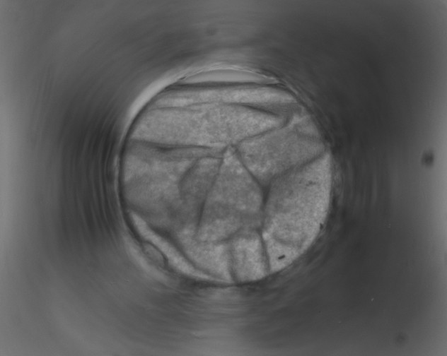 X0000115840100200912242025