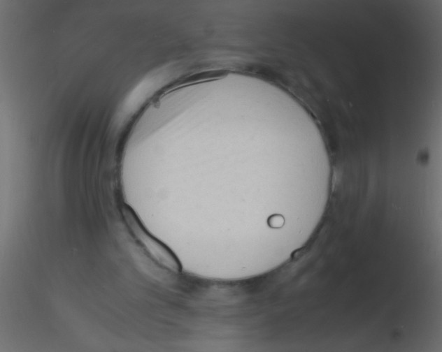 X0000115840101200912242025