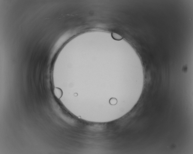 X0000115840102200912242025