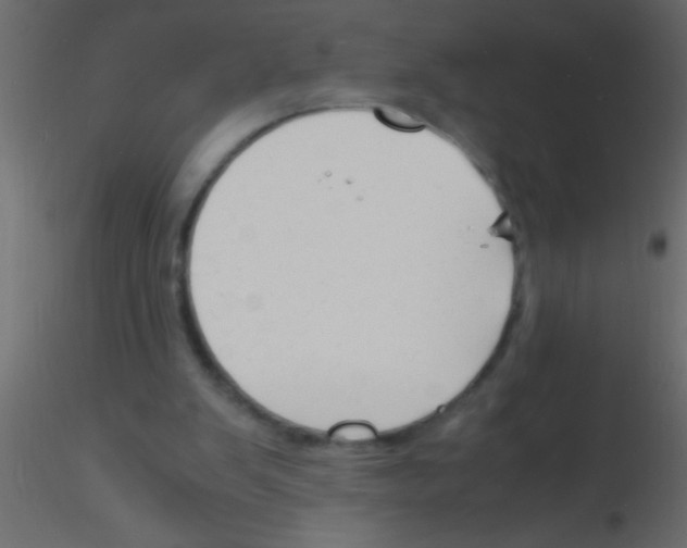 X0000115840103200912242025