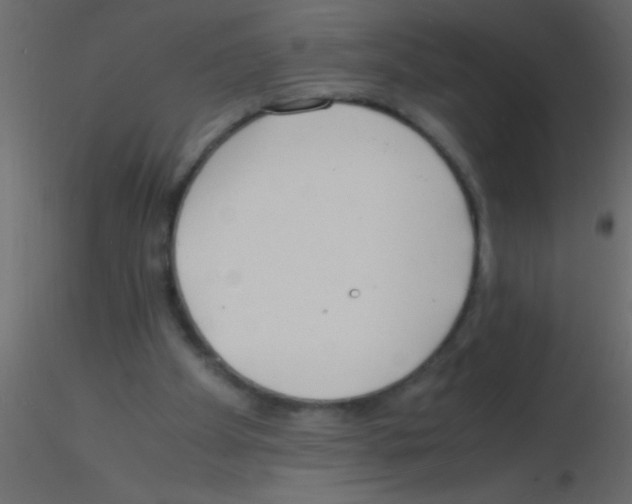 X0000115840105200912242025