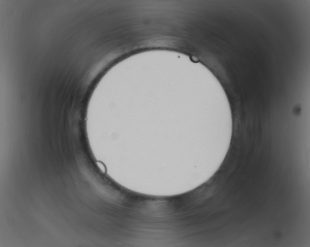 X0000115840108200912242025