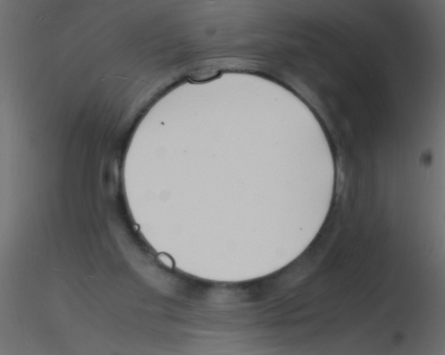 X0000115840109200912242025