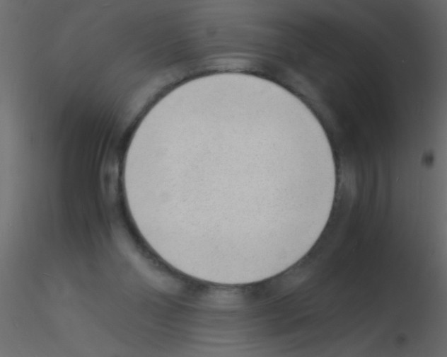 X0000115840110200912242025