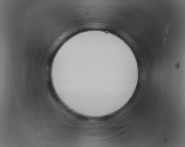 X0000115840111200912242025