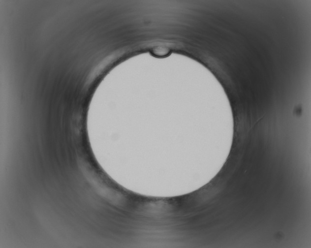 X0000115840112200912242025