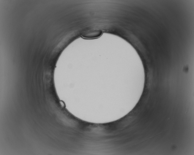 X0000115840113200912242025