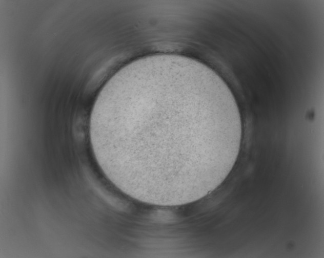 X0000115840114200912242025