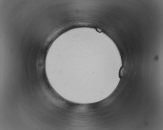 X0000115840116200912242025