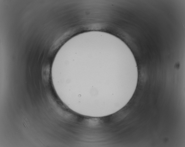 X0000115840118200912242025