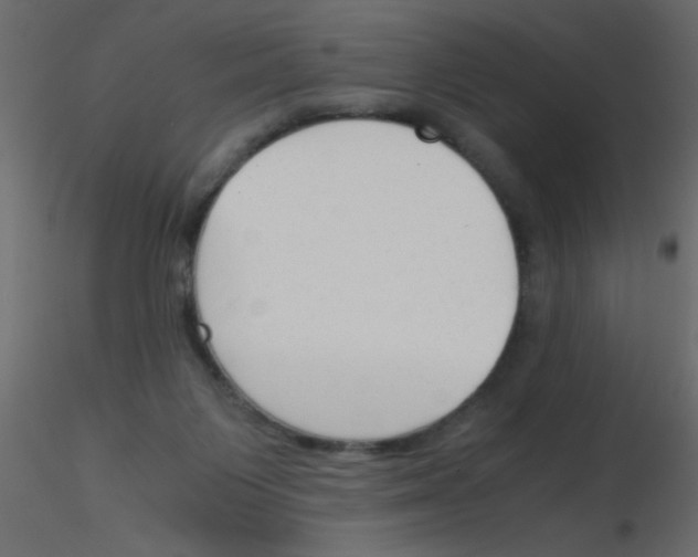 X0000115840119200912242025