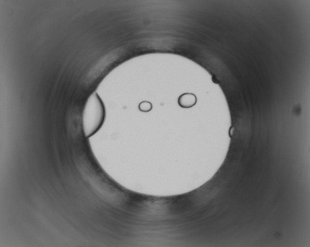 X0000115840120200912242025