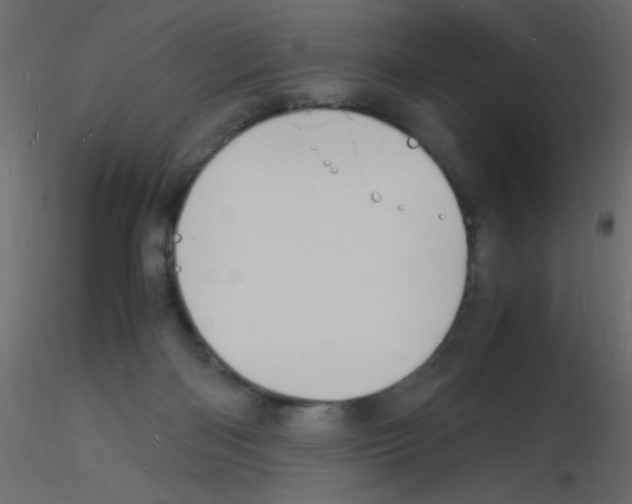 X0000115840122200912242025