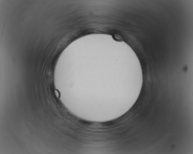 X0000115840123200912242025