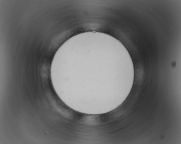 X0000115840126200912242025